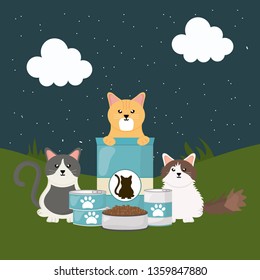 cute little cats with food in the field