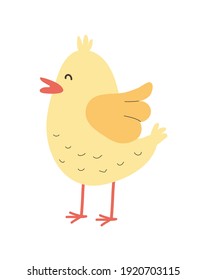 cute little chick animal character vector illustration design