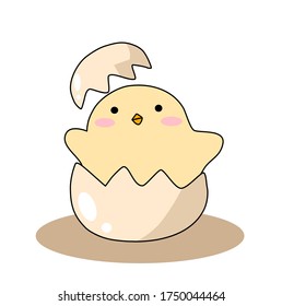 Cute little chick in broken egg
