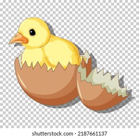 Cute little chick in cracked egg illustration