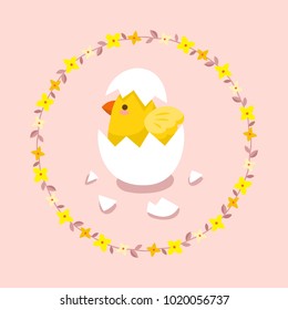 Cute little chick with egg shell on forsythia flowers wreath  background
