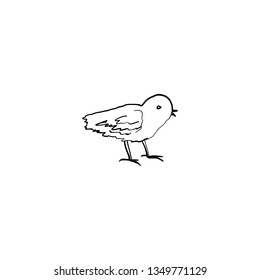 Cute little chick hand drawn vintage symbol of Happy Easter, vector ink sketch illustration isolated on white,  line art cartoon cub bird farm animal, Character design for baby shower, greeting card