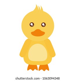 cute little chick icon