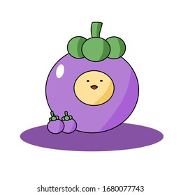 Cute little chick with mangosteen 