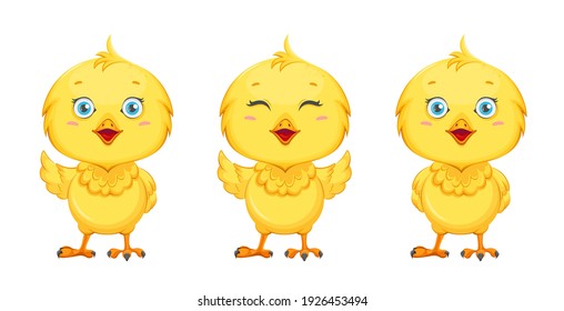 Cute little chick, set of three poses. Happy Easter. Funny baby chicken. Stock vector illustration on white background
