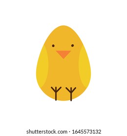 cute little chick spring flat style vector illustration design