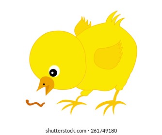 cute little chick trying to eat a worm illustration isolated on white