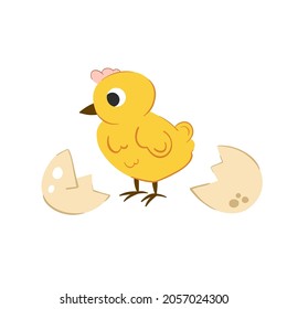 Cute little chick vector illustration for easter design. Newborn yellow cute chicken hatched from egg