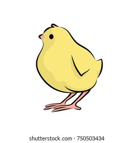 Cute Little Chick. Vector Illustration Of A Baby Chicken. Side View.