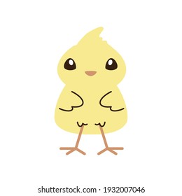 cute little chicken bird vector illustration cartoon isolated style