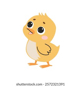 Cute little chicken cartoon character vector Illustration on a white background