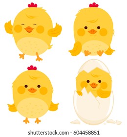 Cute little chicken characters. Vector illustration