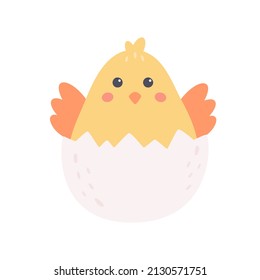 Cute little chicken. Easter character. Hand drawn vector illustration