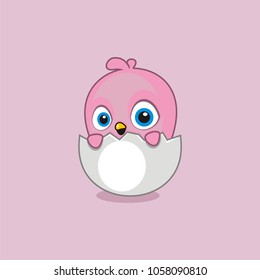 cute little chicken in egg