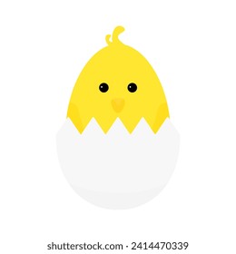 cute little chicken in an egg on a white background