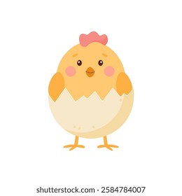 Cute  little chicken hatched from an egg.