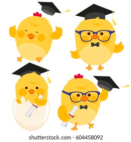 Cute little chicken students with graduation hats and diplomas. Vector illustration