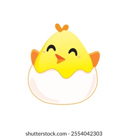 A cute little chicken that feels happiness after being born from breaking its egg shell.
