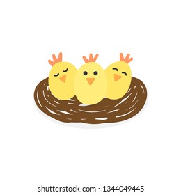 Cute little chicks vector graphic illustration. Easter, spring themed, yellow chickens cartoon in nest, isolated.