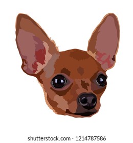 Cute little chihuahua dog vector illustration
