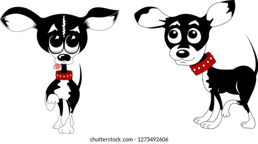 Cute little chihuahua dog vector illustration isolated on white background
