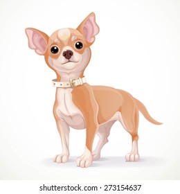 Cute little chihuahua dog vector illustration isolated on white background