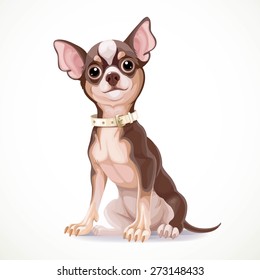 Cute little chihuahua dog wearing a collar vector illustration 