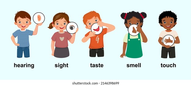 cute little children boys and girls holding showing five senses posters with icons representing hearing, sight, taste, smell, touch as human body parts