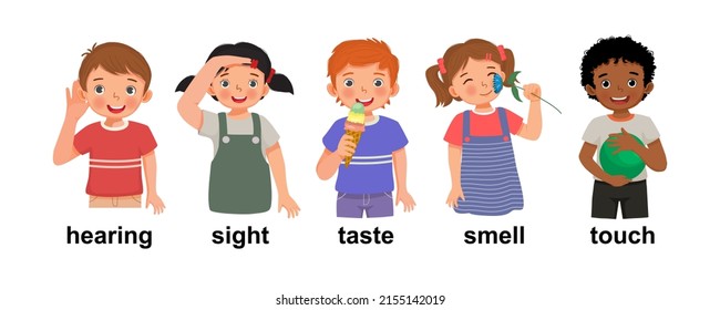 cute little children boys and girls showing five senses organs representing hearing, sight, taste, smell, touch as human body parts