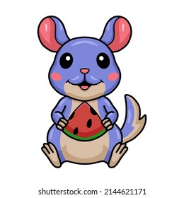 Cute little chinchilla cartoon eating watermelon