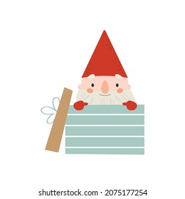 Cute little Christmas gnome in gift box