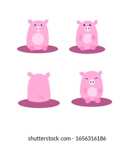 Cute little chubby pinky pig.