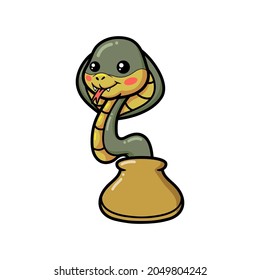 Cute little cobra snake cartoon out from bag