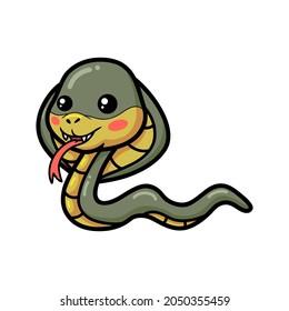 Cute little cobra snake cartoon