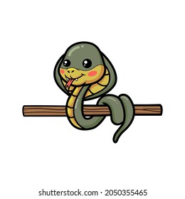 Cute little cobra snake cartoon on tree branch