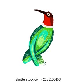 cute little colorful birdisolated on white background