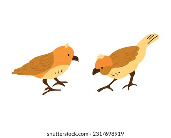 cute little colorful birds isolated on white background. City birds icons set. Birds in different poses isolated on white background. Vector illustration. 