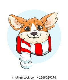 Cute little corgi dog with scarf. Vector illustration.
