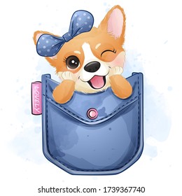 Cute little corgi sitting inside a pocket