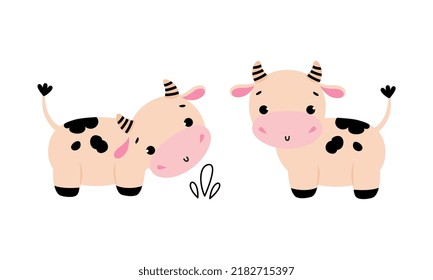 Cute Little Cow Calf with Hoof Grazing on Pasture with Grass Vector Set