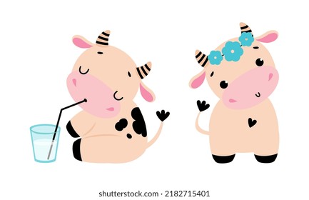 Cute Little Cow Calf with Hoof Drinking Milk and Wearing Flower Wreath Vector Set