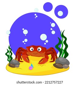 Cute little crab on the seabed