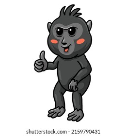 Cute little crested black macaque cartoon giving thumb up