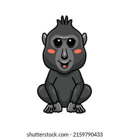 Cute little crested black macaque cartoon