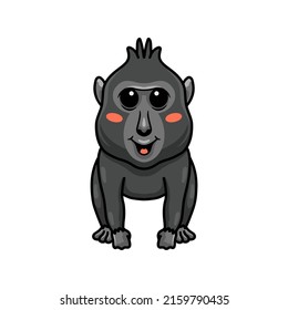 Cute little crested black macaque cartoon