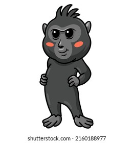 Cute little crested black macaque cartoon standing