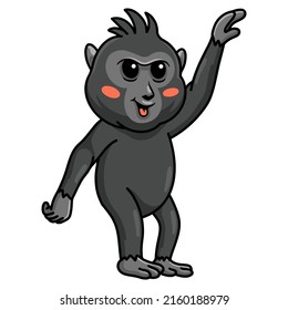 Cute little crested black macaque cartoon