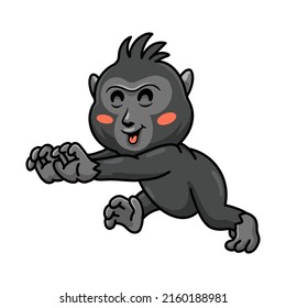 Cute little crested black macaque cartoon walking