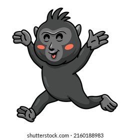 Cute little crested black macaque cartoon walking