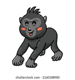 Cute little crested black macaque cartoon